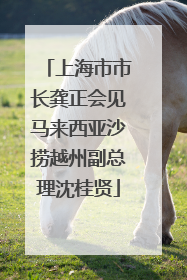 上海市市长龚正会见马来西亚沙捞越州副总理沈桂贤