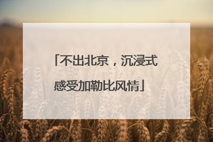 不出北京，沉浸式感受加勒比风情