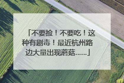 不要捡！不要吃！这种有剧毒！最近杭州路边大量出现蘑菇……