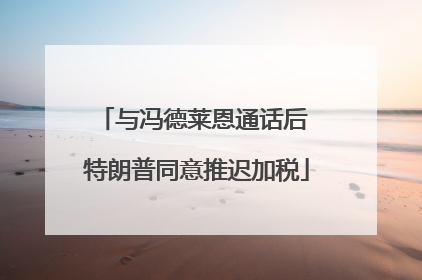 与冯德莱恩通话后 特朗普同意推迟加税