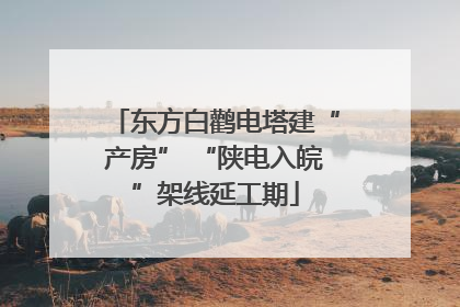 东方白鹳电塔建“产房” “陕电入皖”架线延工期