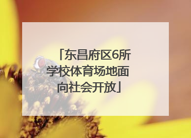 东昌府区6所学校体育场地面向社会开放
