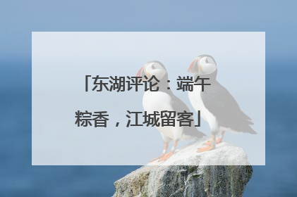 东湖评论：端午粽香，江城留客