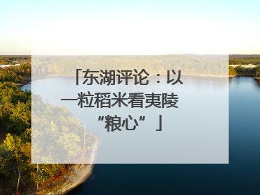 东湖评论：以一粒稻米看夷陵“粮心”
