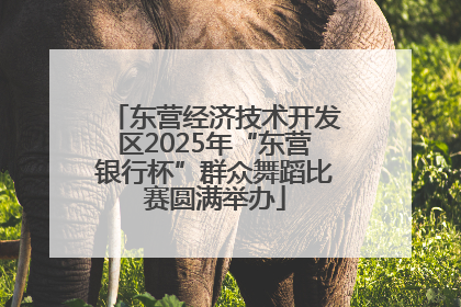 东营经济技术开发区2025年“东营银行杯”群众舞蹈比赛圆满举办