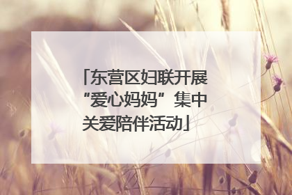 东营区妇联开展“爱心妈妈”集中关爱陪伴活动