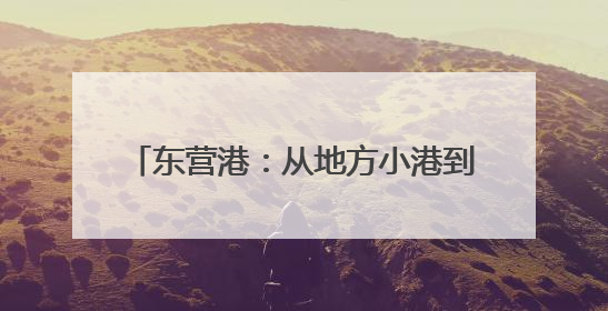 东营港：从地方小港到亿吨大港的跨越发展