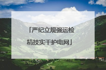 严纪立规强运检 精技实干护电网
