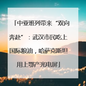 中亚班列带来“双向奔赴”：武汉市民吃上国际粮油，哈萨克斯坦用上鄂产光电屏