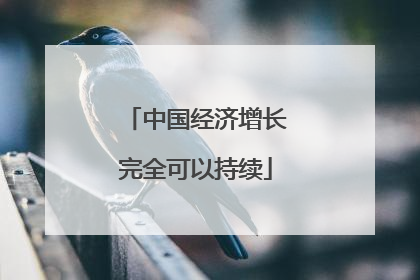 中国经济增长完全可以持续