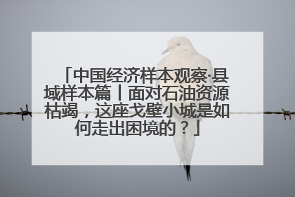 中国经济样本观察·县域样本篇丨面对石油资源枯竭，这座戈壁小城是如何走出困境的？