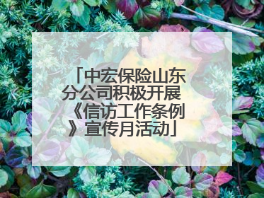 中宏保险山东分公司积极开展《信访工作条例》宣传月活动