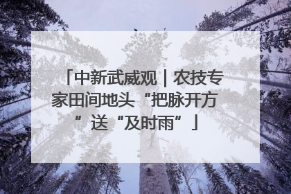 中新武威观｜农技专家田间地头“把脉开方”送“及时雨”