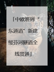 中欧班列“东通道”新建绥芬河隧道全线贯通