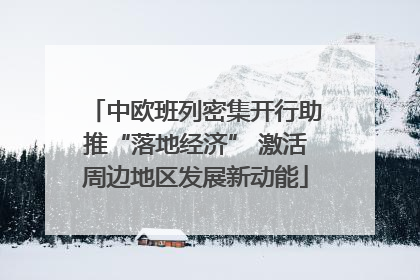 中欧班列密集开行助推“落地经济” 激活周边地区发展新动能