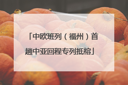 中欧班列（福州）首趟中亚回程专列抵榕