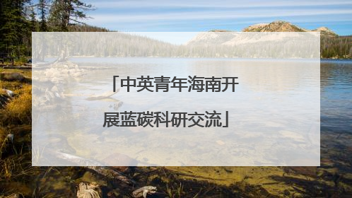 中英青年海南开展蓝碳科研交流