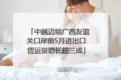 中越边境广西友谊关口岸前5月进出口货运量增长超三成