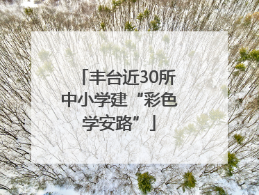 丰台近30所中小学建“彩色学安路”