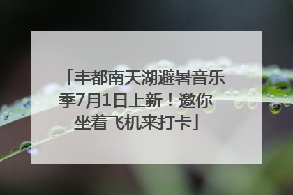 丰都南天湖避暑音乐季7月1日上新！邀你坐着飞机来打卡