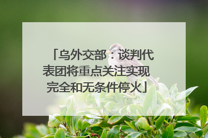 乌外交部：谈判代表团将重点关注实现完全和无条件停火