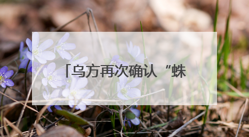 乌方再次确认“蛛网”行动中俄军损失41架军用飞机