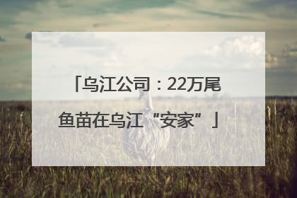 乌江公司：22万尾鱼苗在乌江“安家”