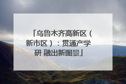 乌鲁木齐高新区（新市区）：贯通产学研 融出新图景