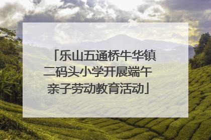 乐山五通桥牛华镇二码头小学开展端午亲子劳动教育活动