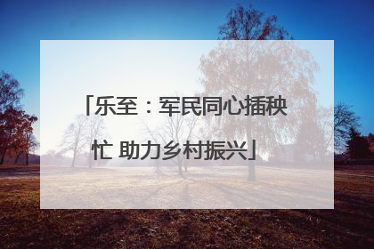 乐至：军民同心插秧忙 助力乡村振兴