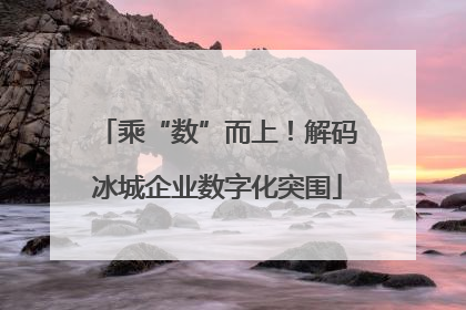 乘“数”而上！解码冰城企业数字化突围