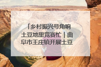 乡村振兴号角响 土豆地里竞赛忙｜曲阜市王庄镇开展土豆收获劳动竞赛