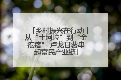 乡村振兴在行动丨从“土坷垃”到“金疙瘩” 卢龙甘薯串起富民产业链