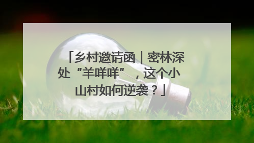 乡村邀请函｜密林深处“羊咩咩”，这个小山村如何逆袭？