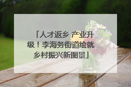 人才返乡 产业升级！李海务街道绘就乡村振兴新图景