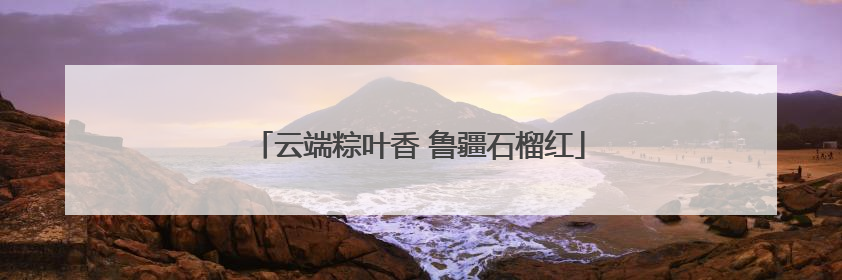 云端粽叶香 鲁疆石榴红