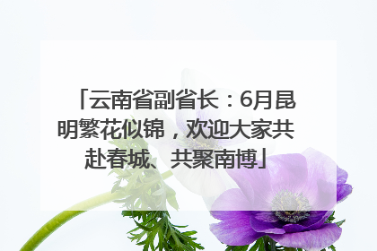 云南省副省长：6月昆明繁花似锦，欢迎大家共赴春城、共聚南博