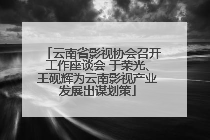 云南省影视协会召开工作座谈会 于荣光、王砚辉为云南影视产业发展出谋划策