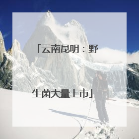 云南昆明：野生菌大量上市