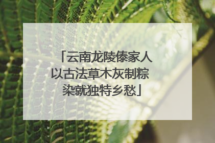 云南龙陵傣家人以古法草木灰制粽 染就独特乡愁