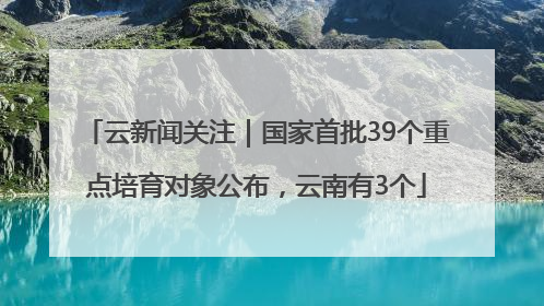 云新闻关注｜国家首批39个重点培育对象公布，云南有3个