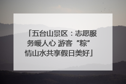 五台山景区：志愿服务暖人心 游客“粽”情山水共享假日美好