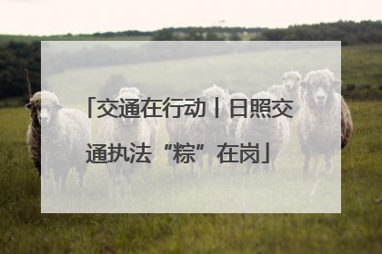 交通在行动丨日照交通执法“粽”在岗