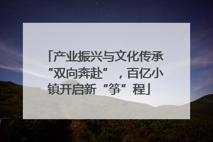 产业振兴与文化传承“双向奔赴”，百亿小镇开启新“筝”程
