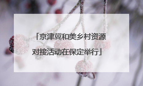 京津冀和美乡村资源对接活动在保定举行
