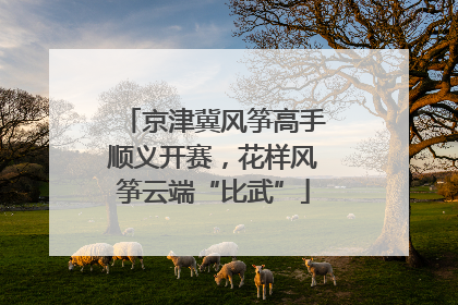京津冀风筝高手顺义开赛，花样风筝云端“比武”