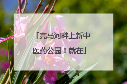 亮马河畔上新中医药公园！就在