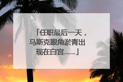 任职最后一天，马斯克眼角淤青出现在白宫……