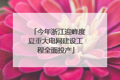 今年浙江迎峰度夏重大电网建设工程全面投产