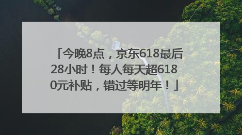 今晚8点，京东618最后28小时！每人每天超6180元补贴，错过等明年！